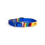 A tail we could wag Martingale Dog Collar