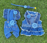 Denim Rose Overalls