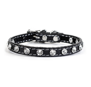 Tuscan Mini Leather Dog Collar in Black - Crystallized