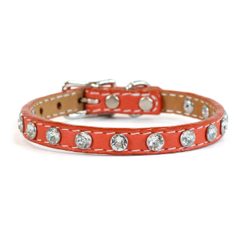 Tuscan Mini Leather Dog Collar in Orange - Crystallized