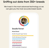 Dog DNA Breed + Health Test