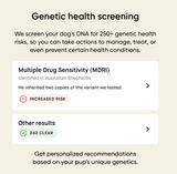 Embark dog DNA test kits