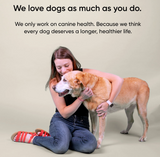 Embark dog DNA test kits