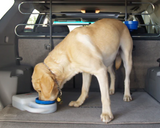 PortablePET WaterBoy Travel Water Bowl for Pets