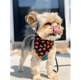 Halloween Bandana - Candy Corn