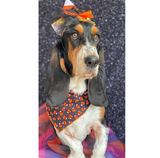 Halloween Bandana - Candy Corn