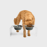 Clear Double Pet Bowl Feeder with 2 Tone Bowls | Options