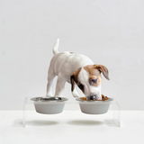 Clear Double Pet Bowl Feeder with 2 Tone Bowls | Options