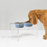 Tall Double Pet Bowl Feeder with 2 Tone Bowls | Options