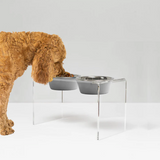 Tall Double Pet Bowl Feeder with 2 Tone Bowls | Options