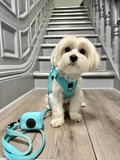 Luxe No-Pull Step-In Dog Harness - Fifth Ave