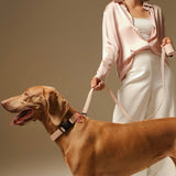 Hands-free Adjustable Dog Leash - Blush