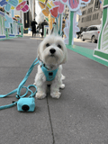 Hands-free Adjustable Dog Leash - Fifth Avenue Blue