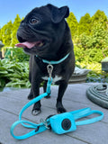 Hands-free Adjustable Dog Leash - Fifth Avenue Blue