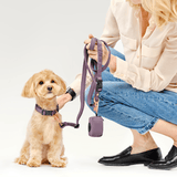 Hands-free Adjustable Dog Leash - Purple