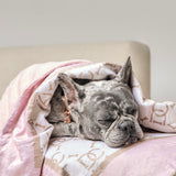 Luxe Monogram Waterproof Dog Blanket - Blush