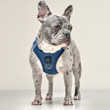 Luxe No-Pull Step In Dog Harness - Denim