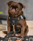 Luxe No Pull Step-In Dog Harness - Embroidered Rockstar