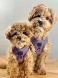 Luxe No Pull Step-In Dog Harness - Purple