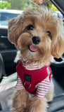 Luxe No-Pull Step-In Dog Harness - Red