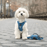 Hands-free Adjustable Dog Leash - Denim