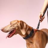 Rope Dog Leash - Black with Rose Gold & Charm