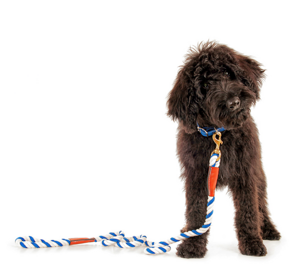 Cotton Rope Slip Leash with Leather Accents