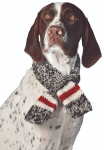 Boyfriend Dog Scarf - Le Pet Luxe