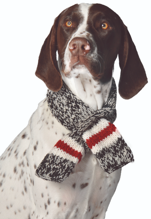 Boyfriend Dog Scarf - Le Pet Luxe