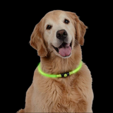 NiteHowl LED Safety Necklace ~ Green - Le Pet Luxe