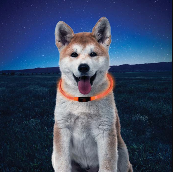 NiteHowl LED Safety Necklace ~ Orange - Le Pet Luxe