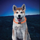 NiteHowl LED Safety Necklace ~ Orange - Le Pet Luxe