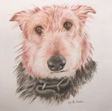 Personalized Pet Portraits ~ Dogs - Le Pet Luxe