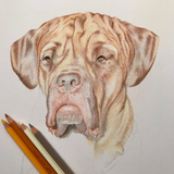 Personalized Pet Portraits ~ Dogs - Le Pet Luxe