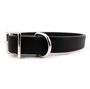 Town Leather Dog Collar ~ Fun Colors