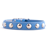 Silver Studded Collar ~ Royal Blue