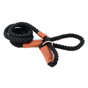 Cotton Rope Slip Leash with Leather Accents