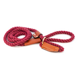 Cotton Rope Slip Leash with Leather Accents