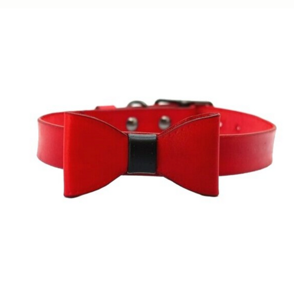 Cayenne Collar & Bow