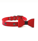 Cayenne Collar & Bow