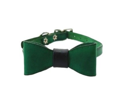 Forrest Green Mini Collar & Bow