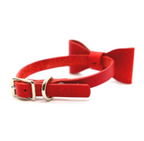 True Cayenne Mini Collar & Bow