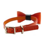 Burnt Orange Mini Collar & Bow