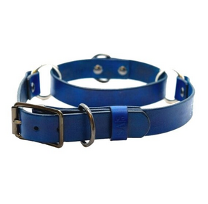 Martingale Collar