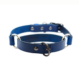 Martingale Collar