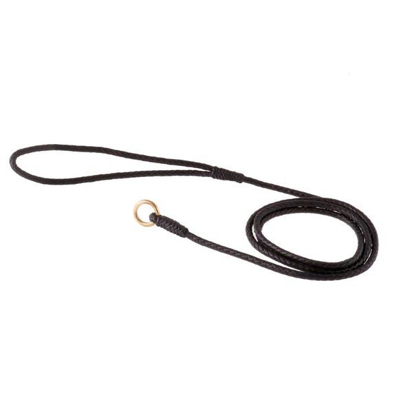 Braided Leather Slip Leash ~ Solid