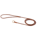 Braided Leather Slip Leash ~ Multi