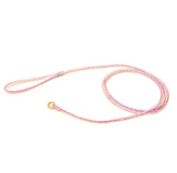 Braided Leather Slip Leash ~ Multi