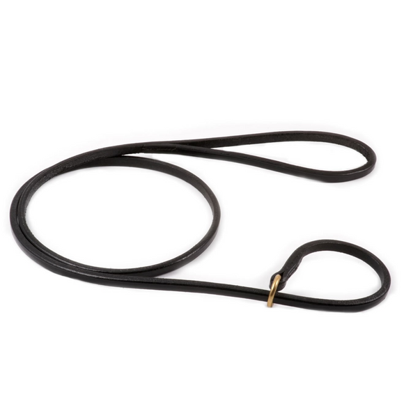 Flat Leather Slip Leash