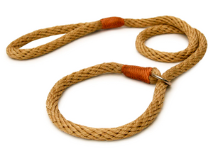 Nylon Slip Leash ~ Solid Fun Colors